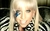 Lady gaga_tiny